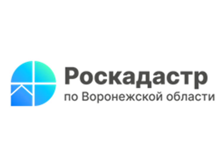 Воронежцы узнают о способах получения землеустроительной документации.