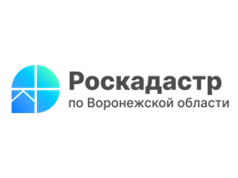 За полгода воронежцы заказали в 30 раз больше электронных выписок из ЕГРН, чем бумажных.