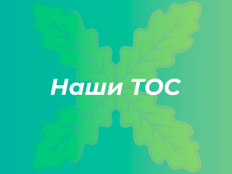 ТОС "Зубриновка" Староникольского поселения. ТОС "Зубриновка" Староникольского поселения.