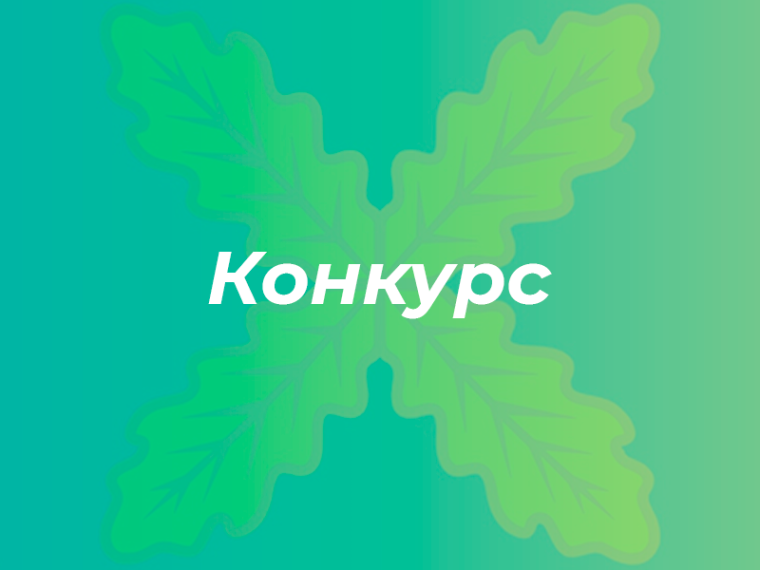 Конкурс "Моя Земля - Россия". Конкурс "Моя Земля - Россия".